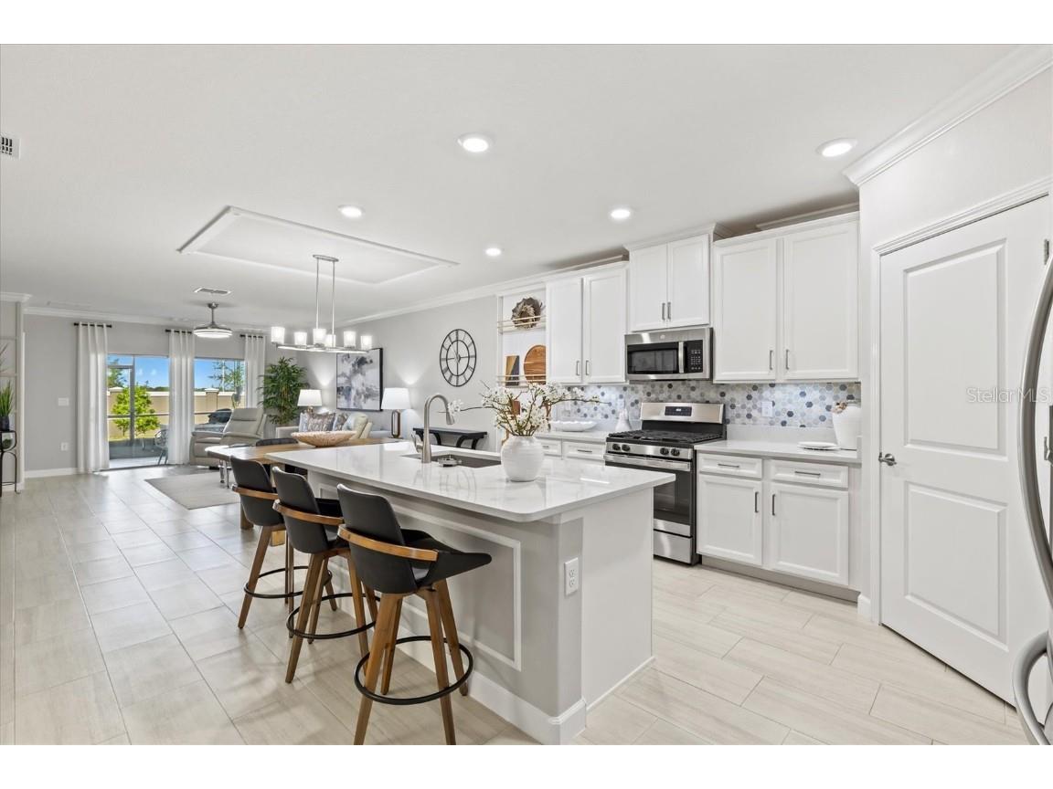 17578 Holly Well Avenue Wimauma FL 33598 A4674238 image6