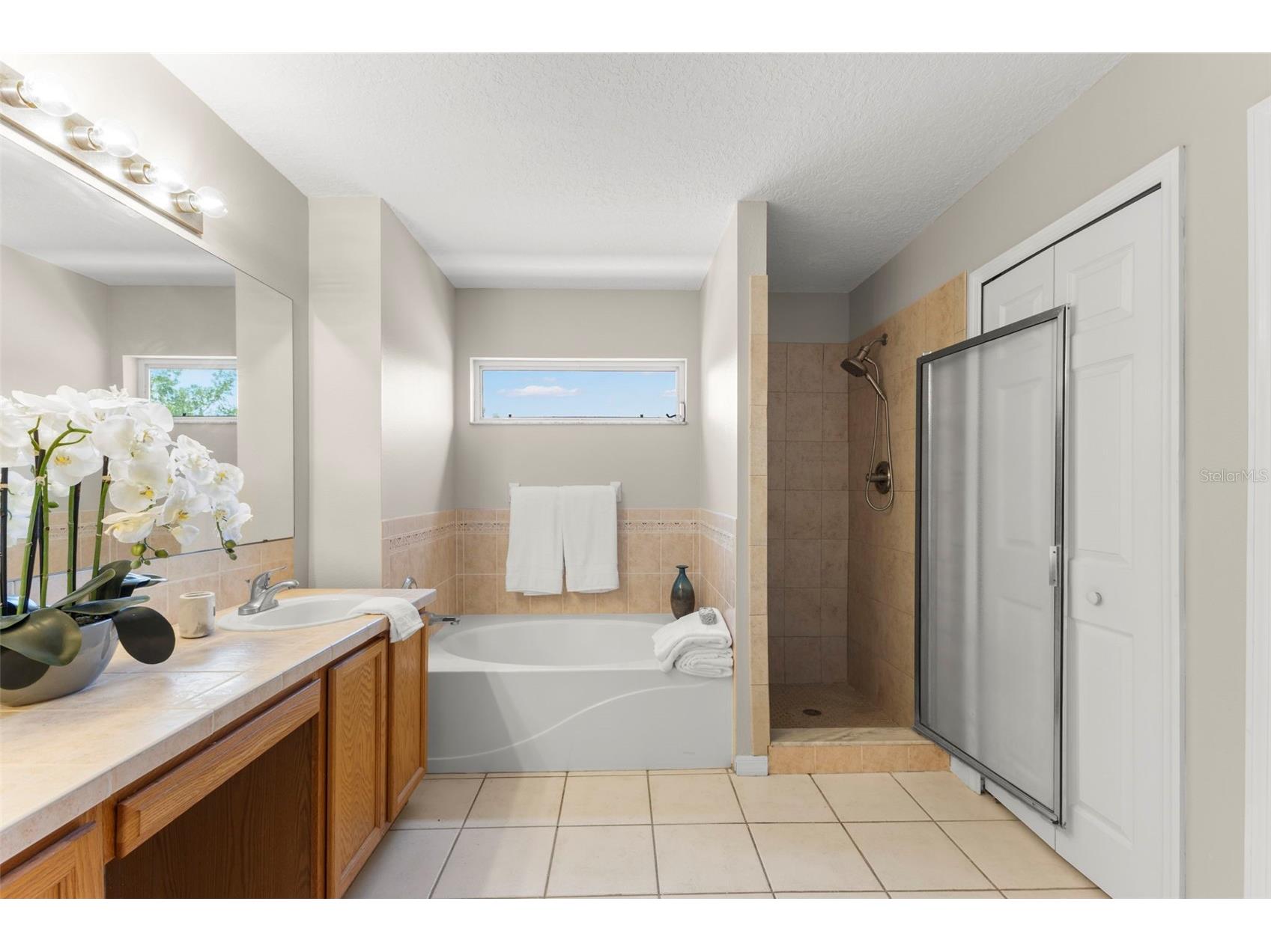1758 Oak Pond Court Oldsmar FL 34677 TB8507682 image34