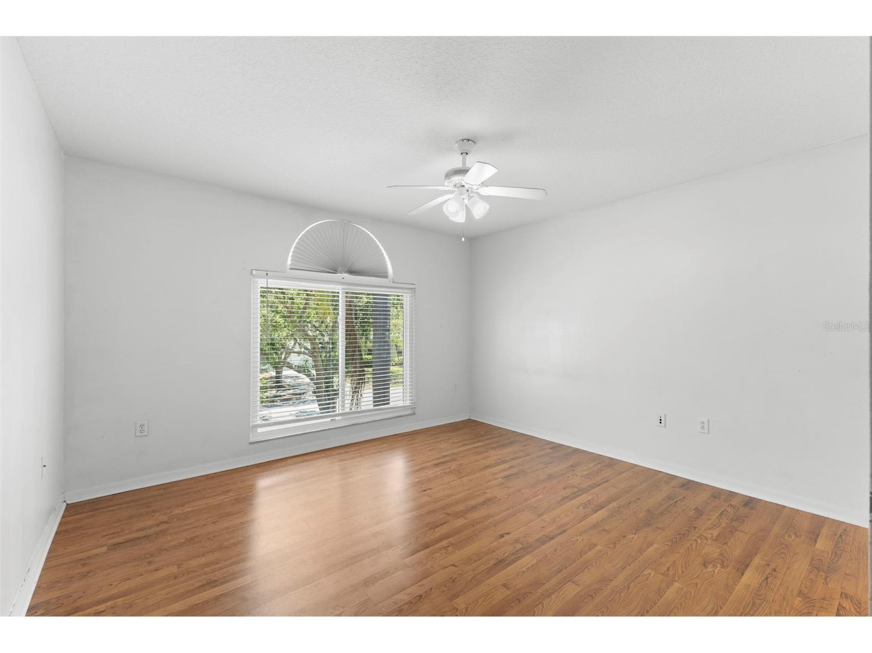1758 Oak Pond Court Oldsmar FL 34677 TB8507682 image39