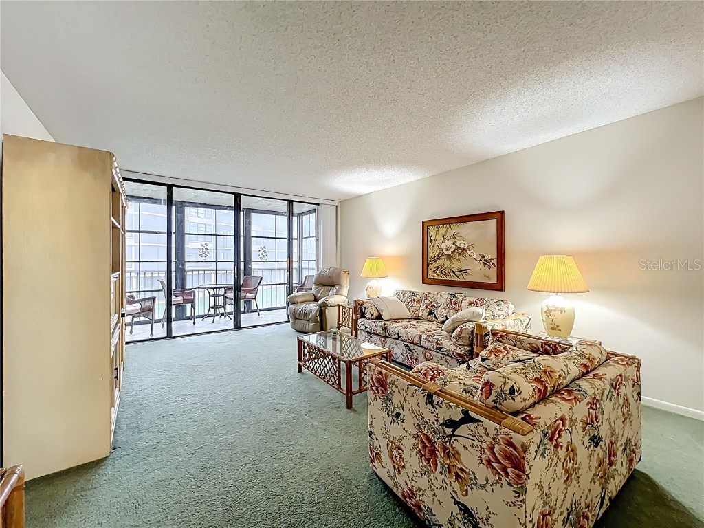 17580 Gulf Boulevard #219 Redington Shores FL 33708 - GULF OF MEXICO TB8443257 image20