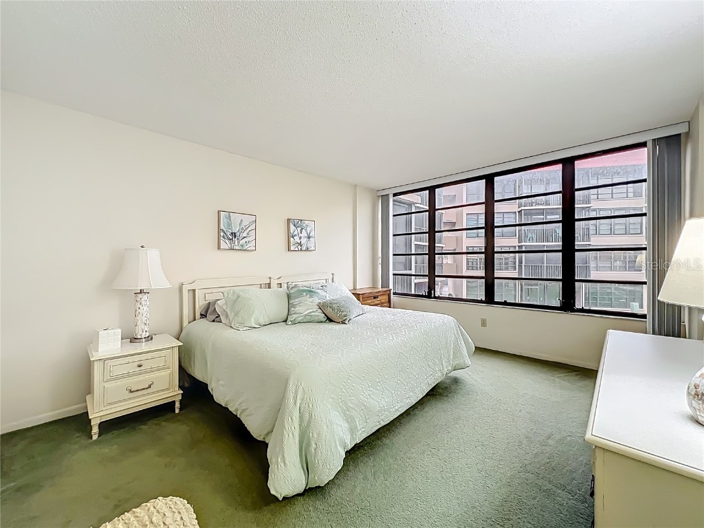 17580 Gulf Boulevard #219 Redington Shores FL 33708 - GULF OF MEXICO TB8443257 image24