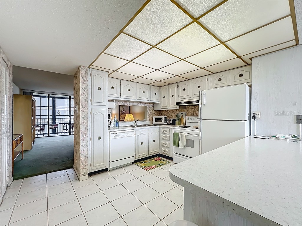 17580 Gulf Boulevard #219 Redington Shores FL 33708 - GULF OF MEXICO TB8443257 image4