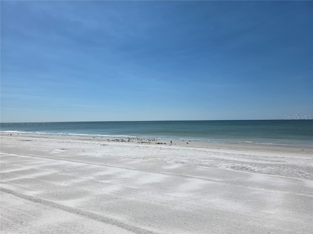 17580 Gulf Boulevard #311 Redington Shores FL 33708 - GULF TB8446375 image31