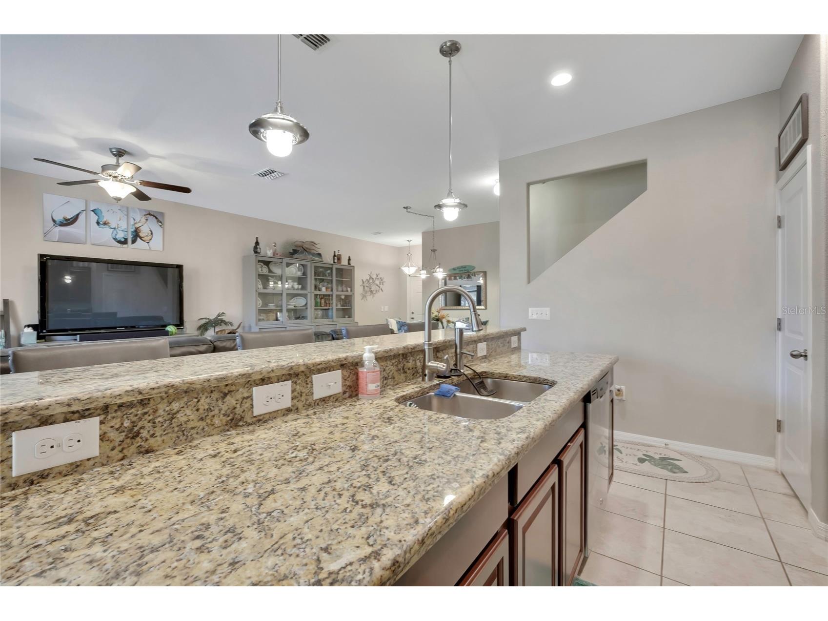 17581 Brighton Lake Road Land O Lakes FL 34638 TB8489870 image13
