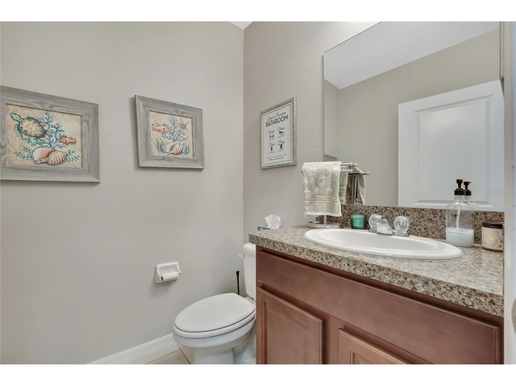 17581 Brighton Lake Road Land O Lakes FL 34638 TB8489870 image15
