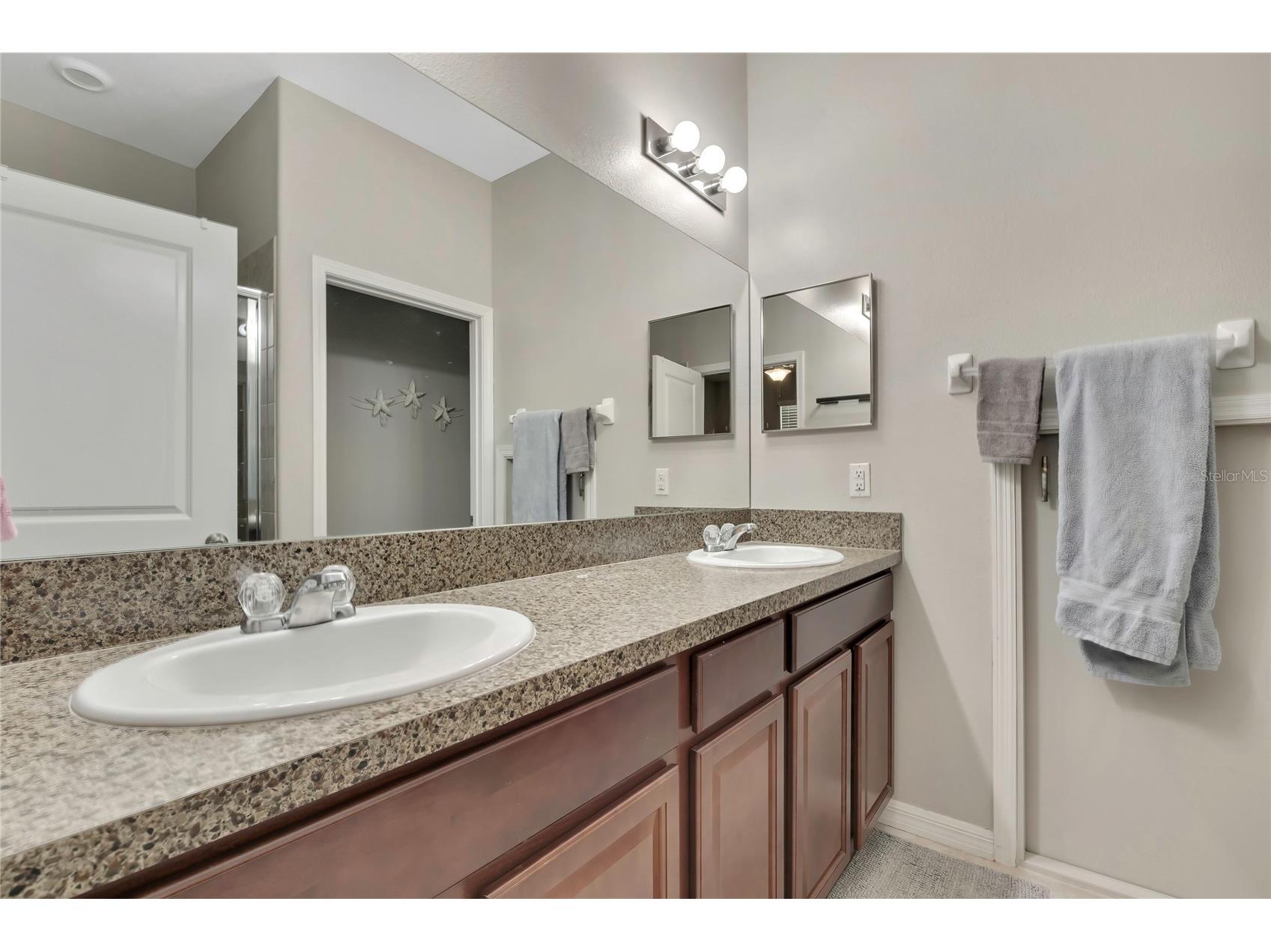 17581 Brighton Lake Road Land O Lakes FL 34638 TB8489870 image20