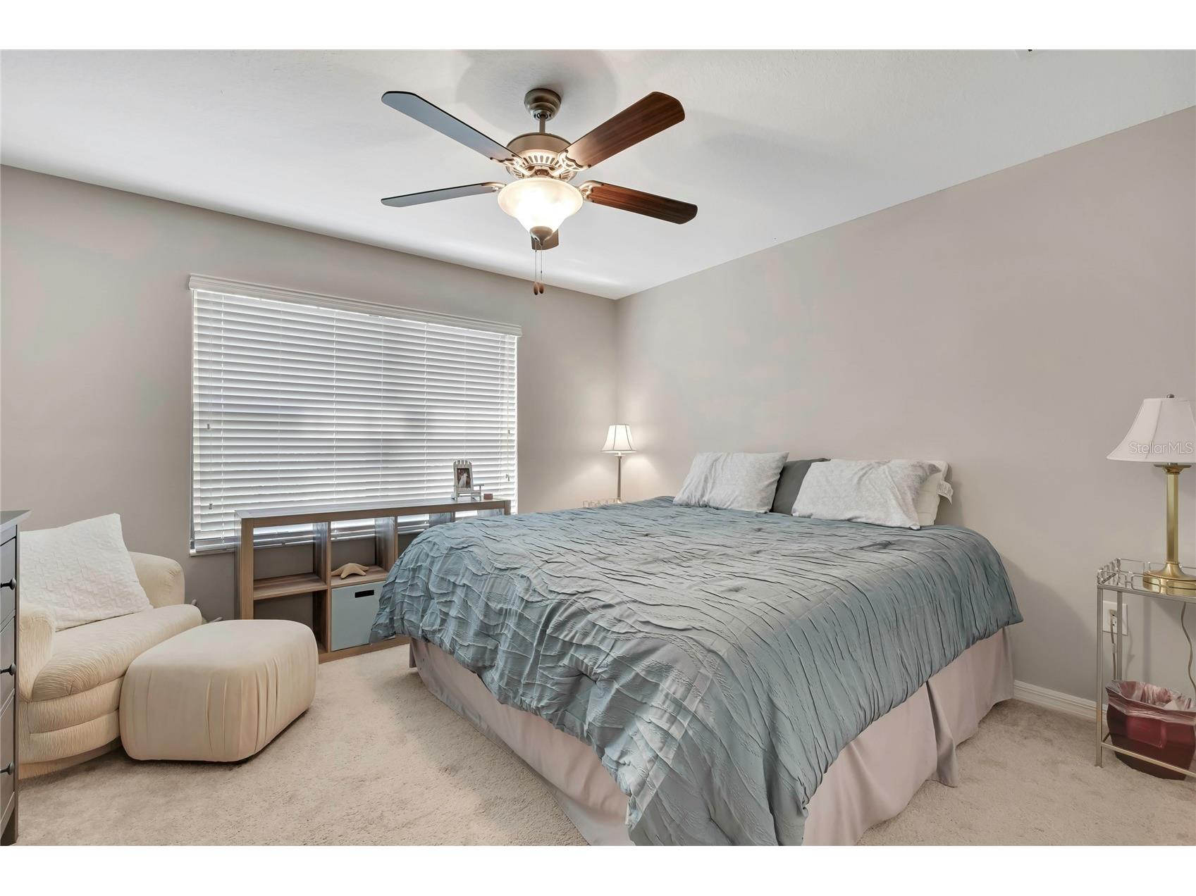 17581 Brighton Lake Road Land O Lakes FL 34638 TB8489870 image24