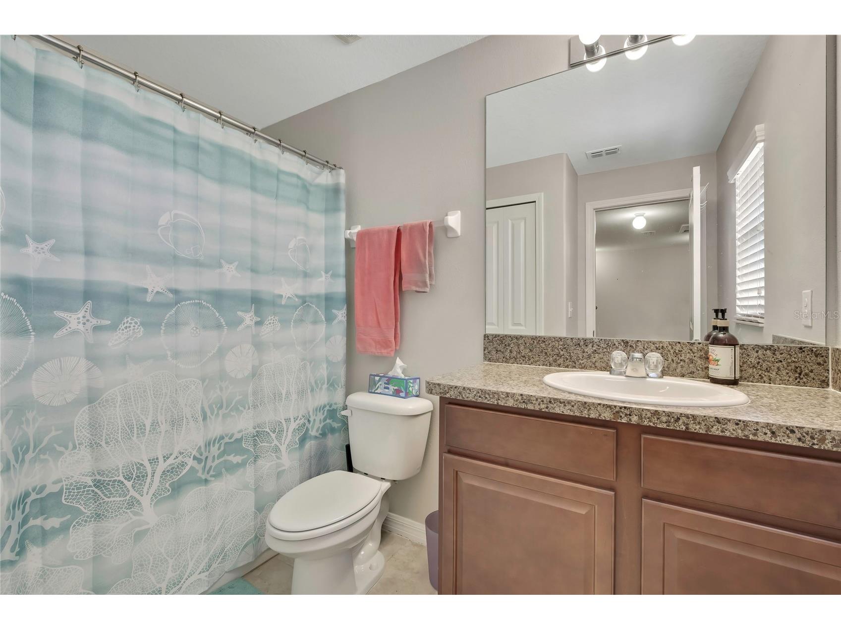 17581 Brighton Lake Road Land O Lakes FL 34638 TB8489870 image26
