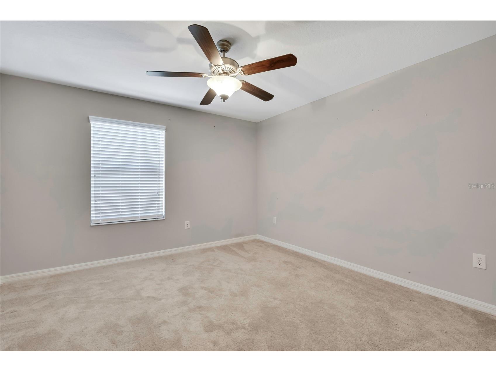 17581 Brighton Lake Road Land O Lakes FL 34638 TB8489870 image29