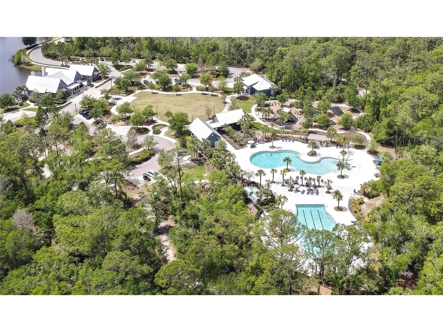 17581 Brighton Lake Road Land O Lakes FL 34638 TB8489870 image43