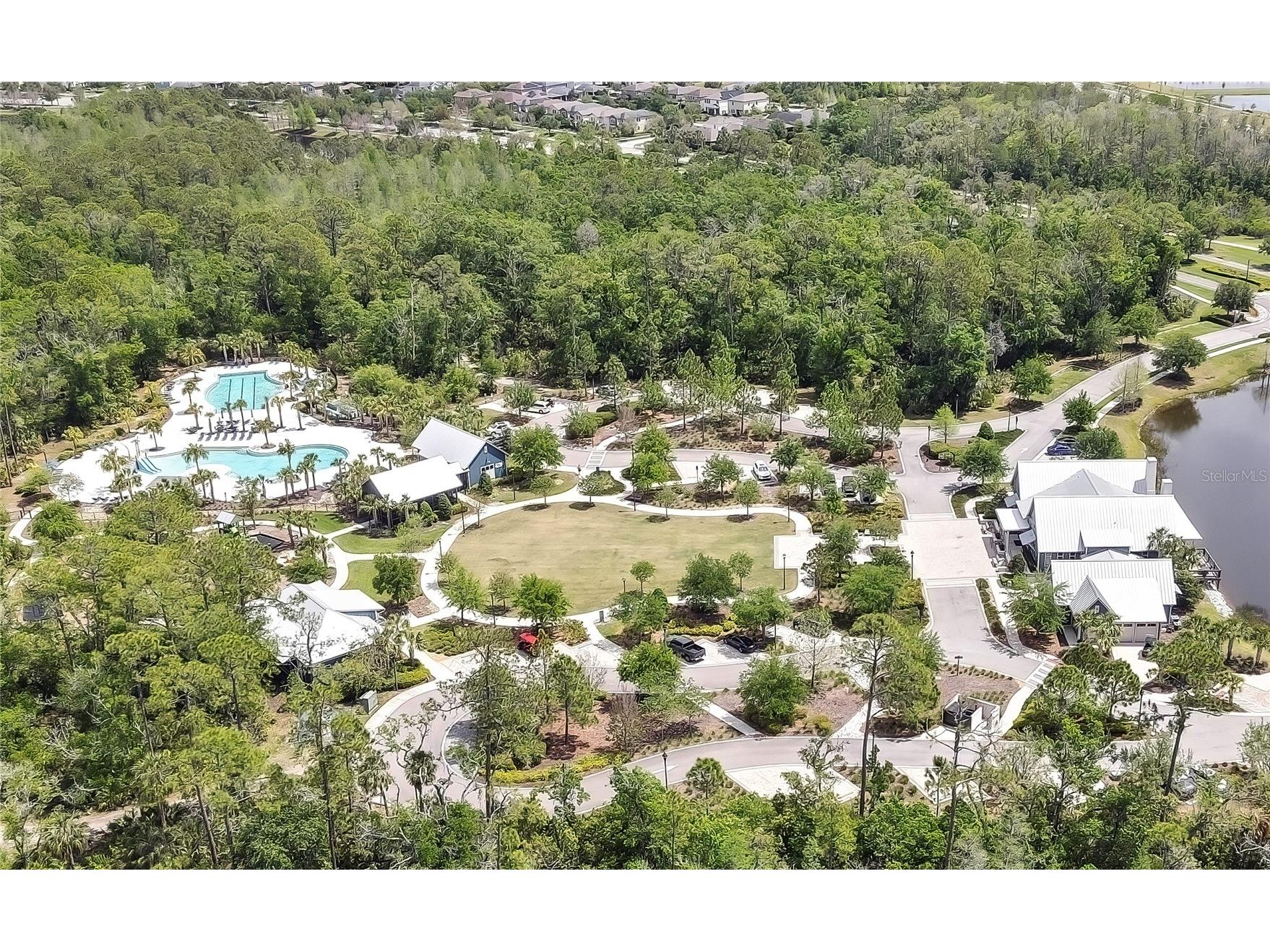 17581 Brighton Lake Road Land O Lakes FL 34638 TB8489870 image46