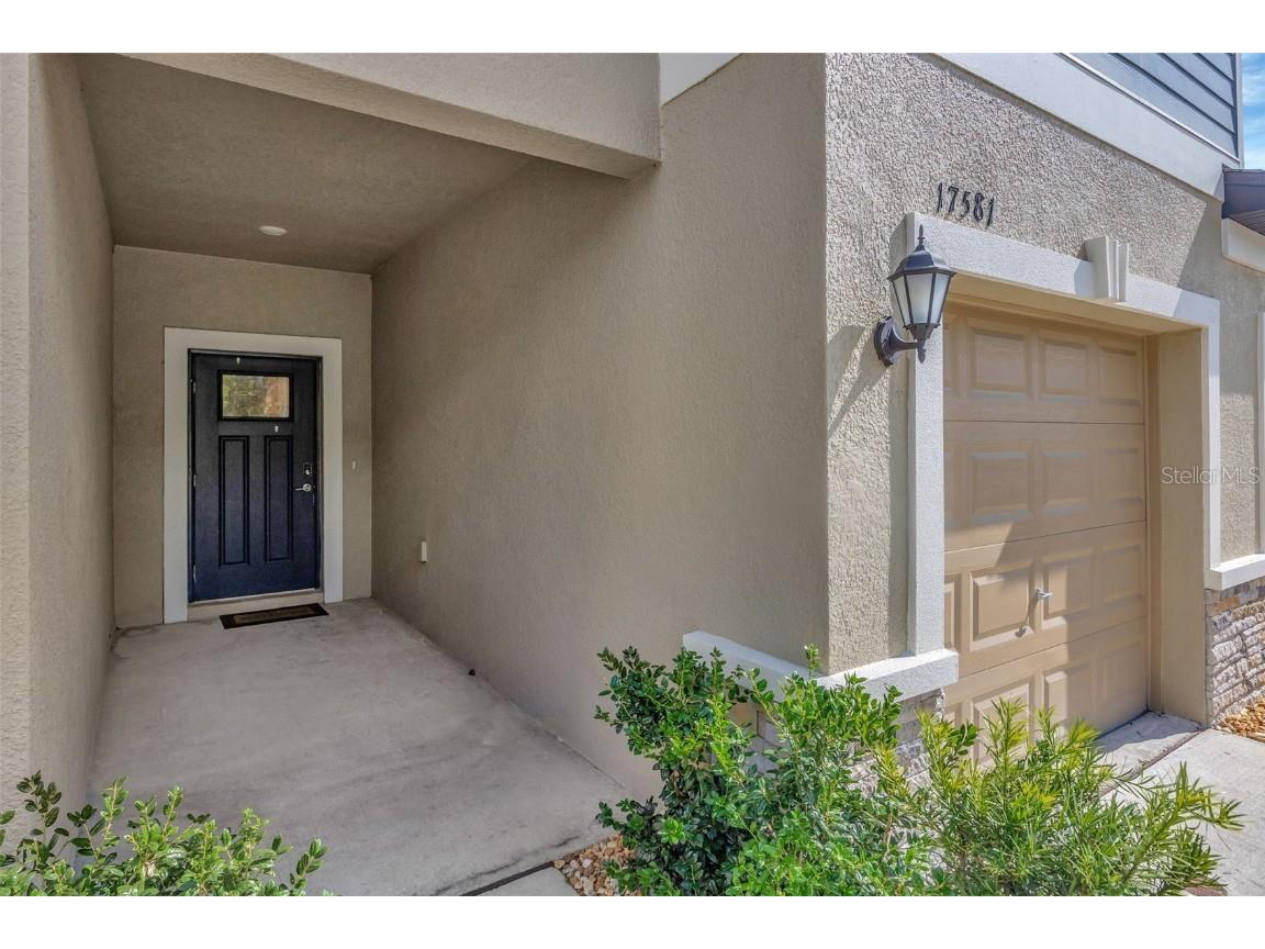 17581 Nectar Flume Drive Land O Lakes FL 34638 TB8446992 image3