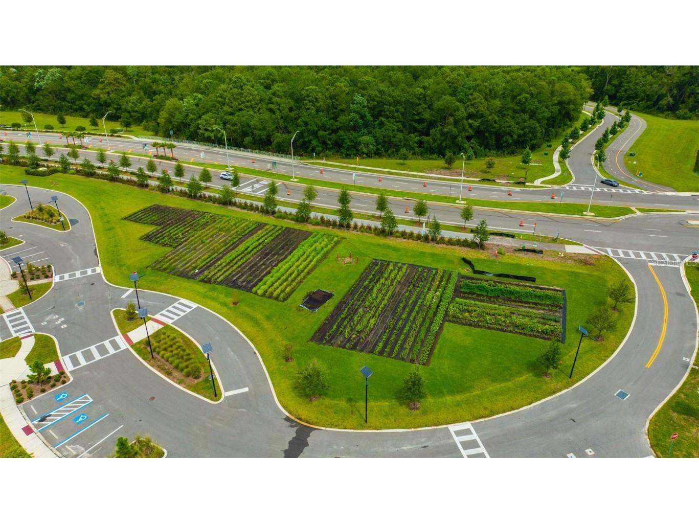 17581 Nectar Flume Drive Land O Lakes FL 34638 TB8446992 image47