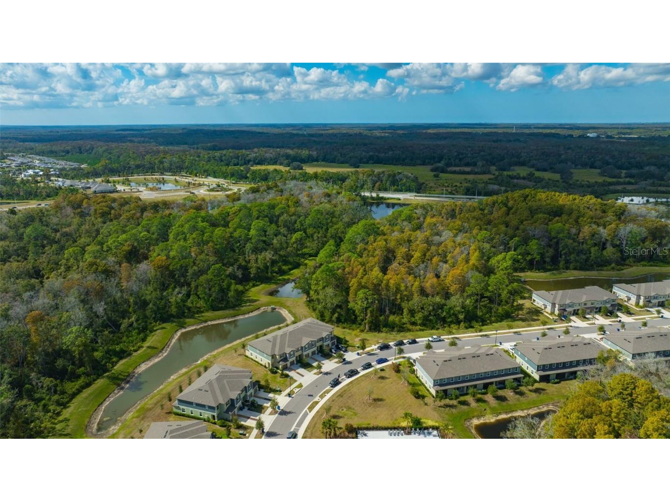 17581 Nectar Flume Drive Land O Lakes FL 34638 TB8446992 image56