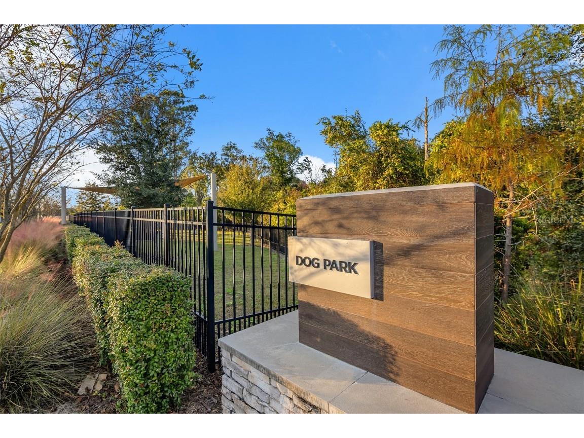 17582 Lake Star Road Winter Garden FL 34787 O6333727 image4