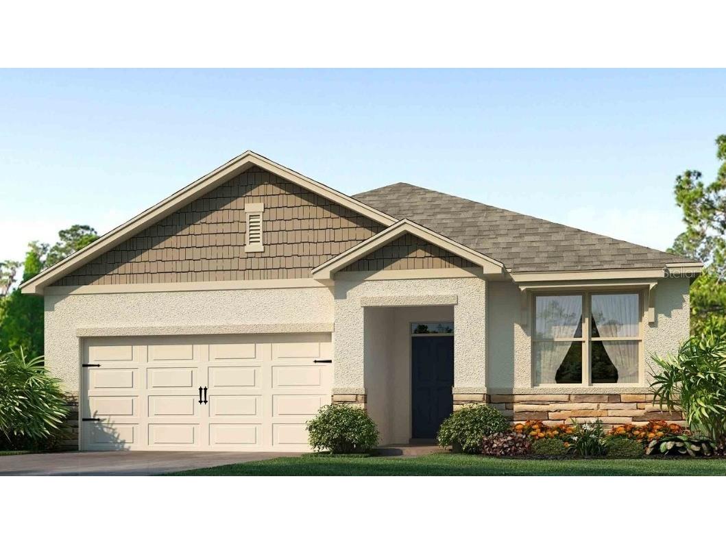 17585 Acorn Drop Road Land O Lakes FL 34638 TB8458458 image1