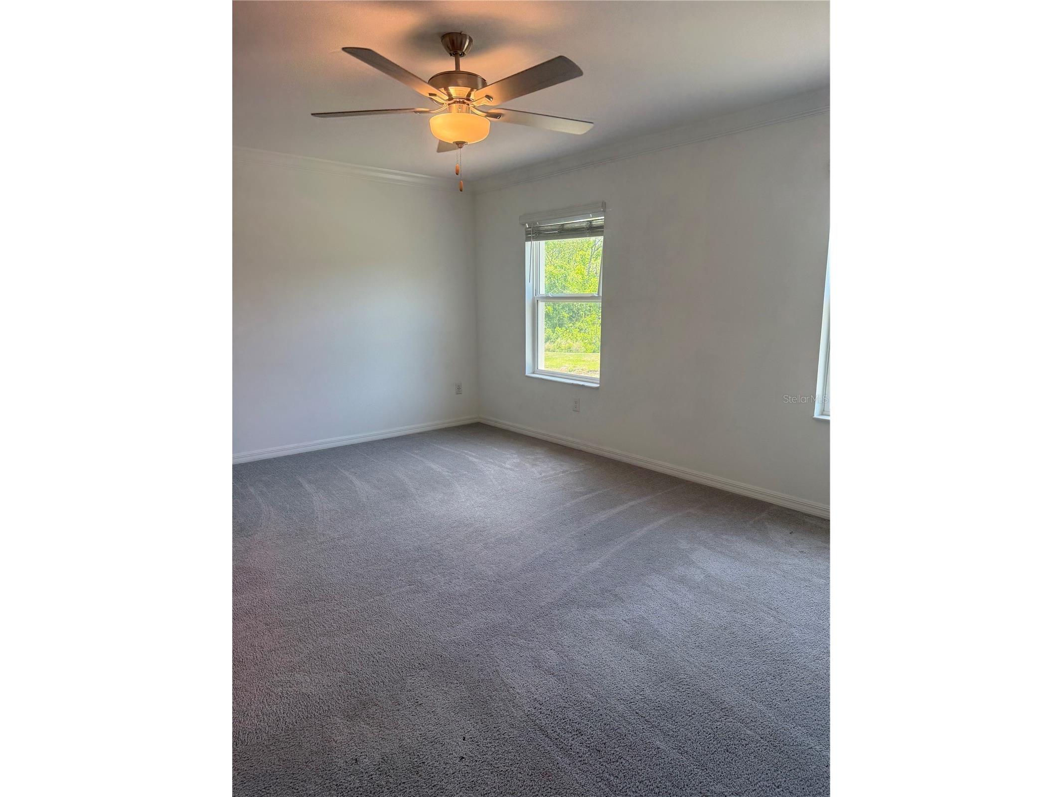 17586 Nectar Flume Drive Land O Lakes FL 34638 TB8501346 image34