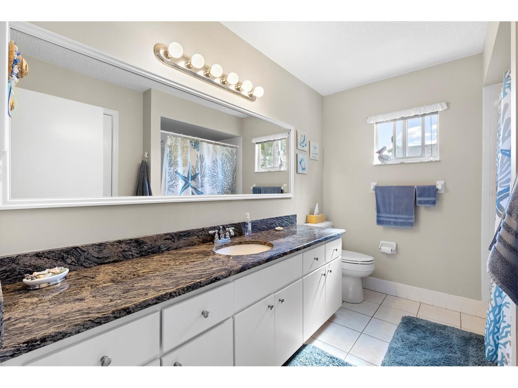 17587 SE 96th Court Summerfield FL 34491 OM719019 image17