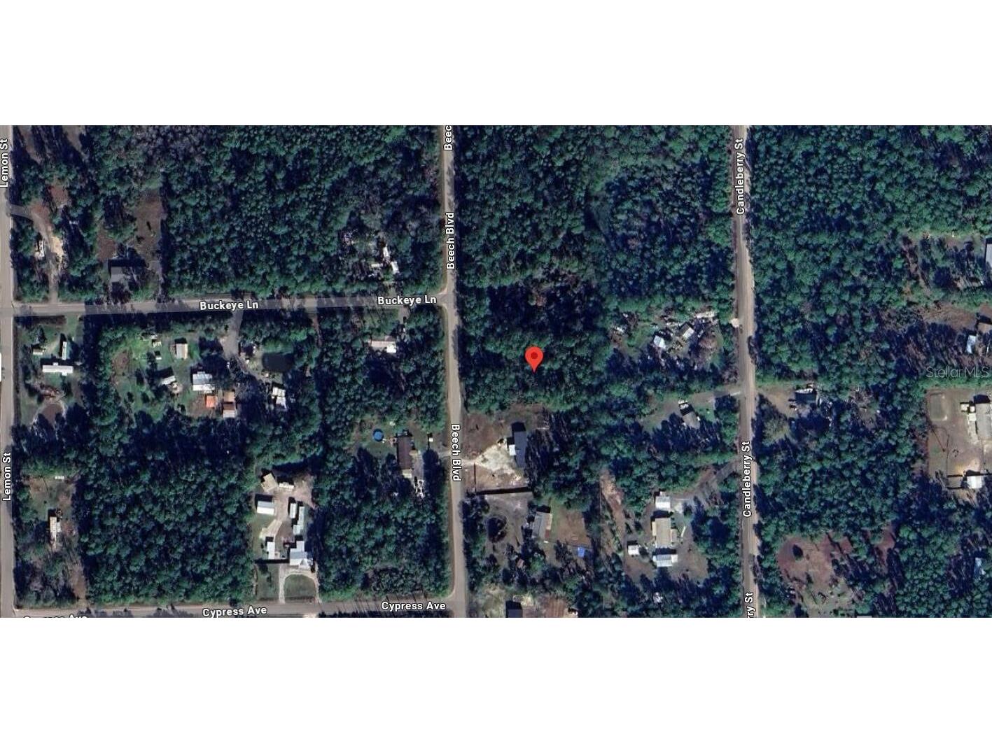 1759 Beech Boulevard Bunnell FL 32110 O6363355 image1