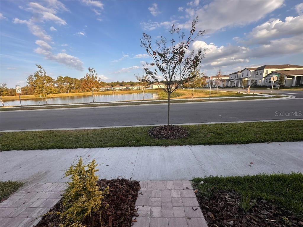 17592 Northlake Grove Drive Winter Garden FL 34787 S5140376 image14