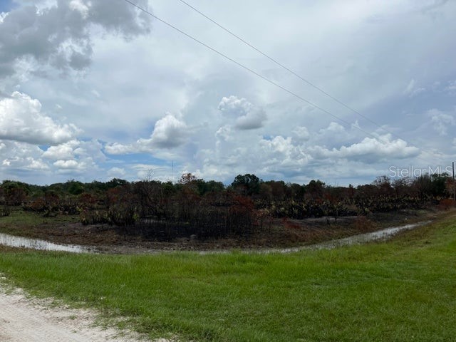 17595 NW 268th Street Okeechobee FL 34972 OK222590 image1