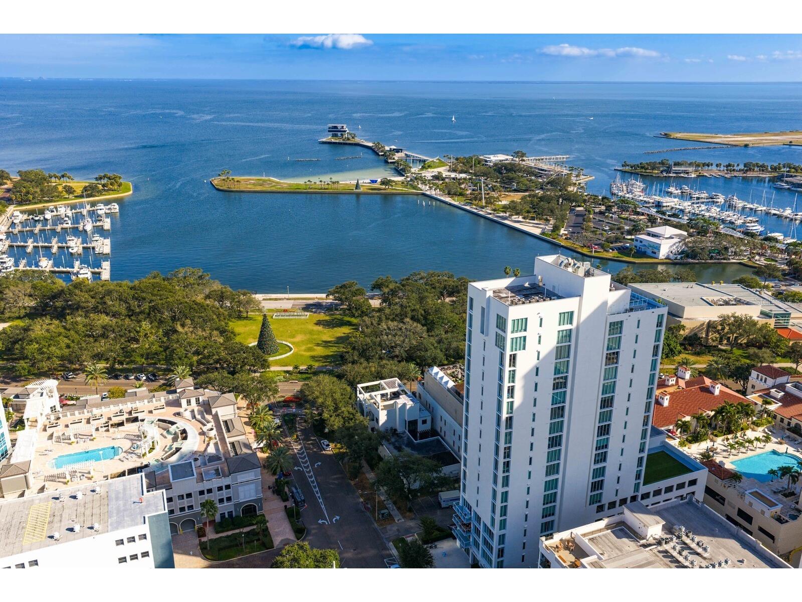 176 4th Avenue NE #1002 Saint Petersburg FL 33701 - TAMPA BAY TB8454387 image1