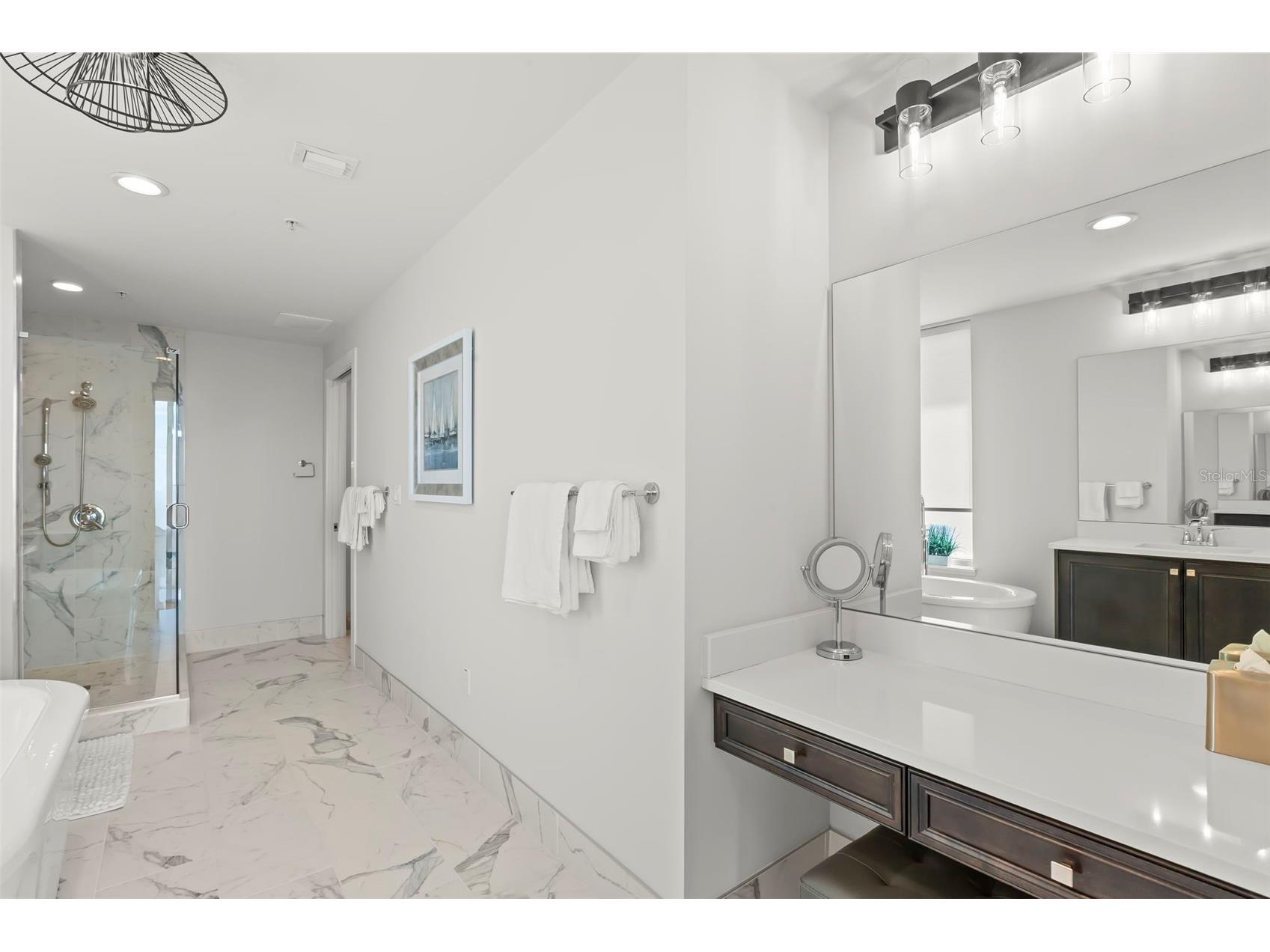 176 4th Avenue NE #1102 Saint Petersburg FL 33701 TB8495722 image27