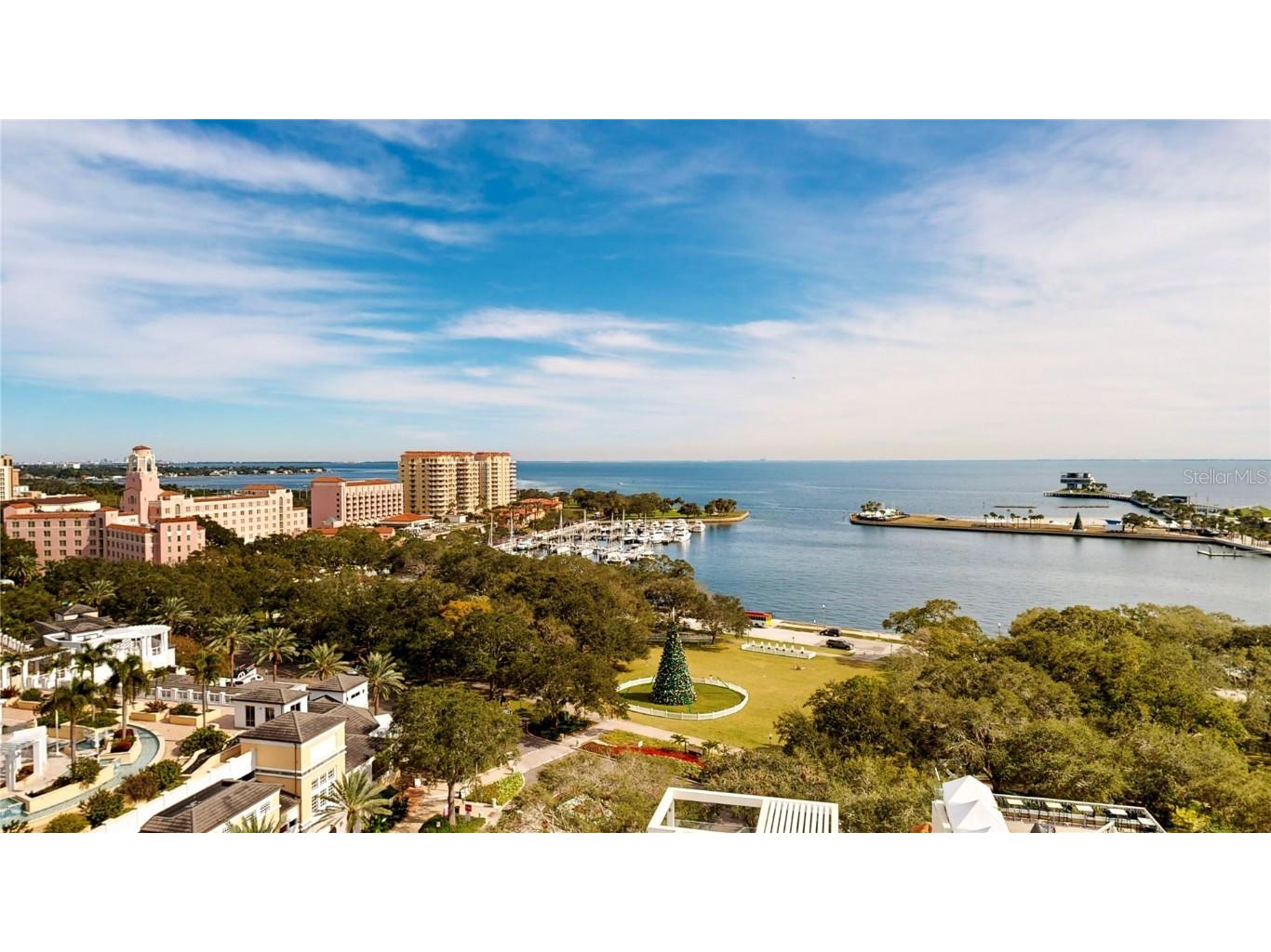 176 4th Avenue NE #1201 Saint Petersburg FL 33701 - TAMPA BAY T3514736 image1