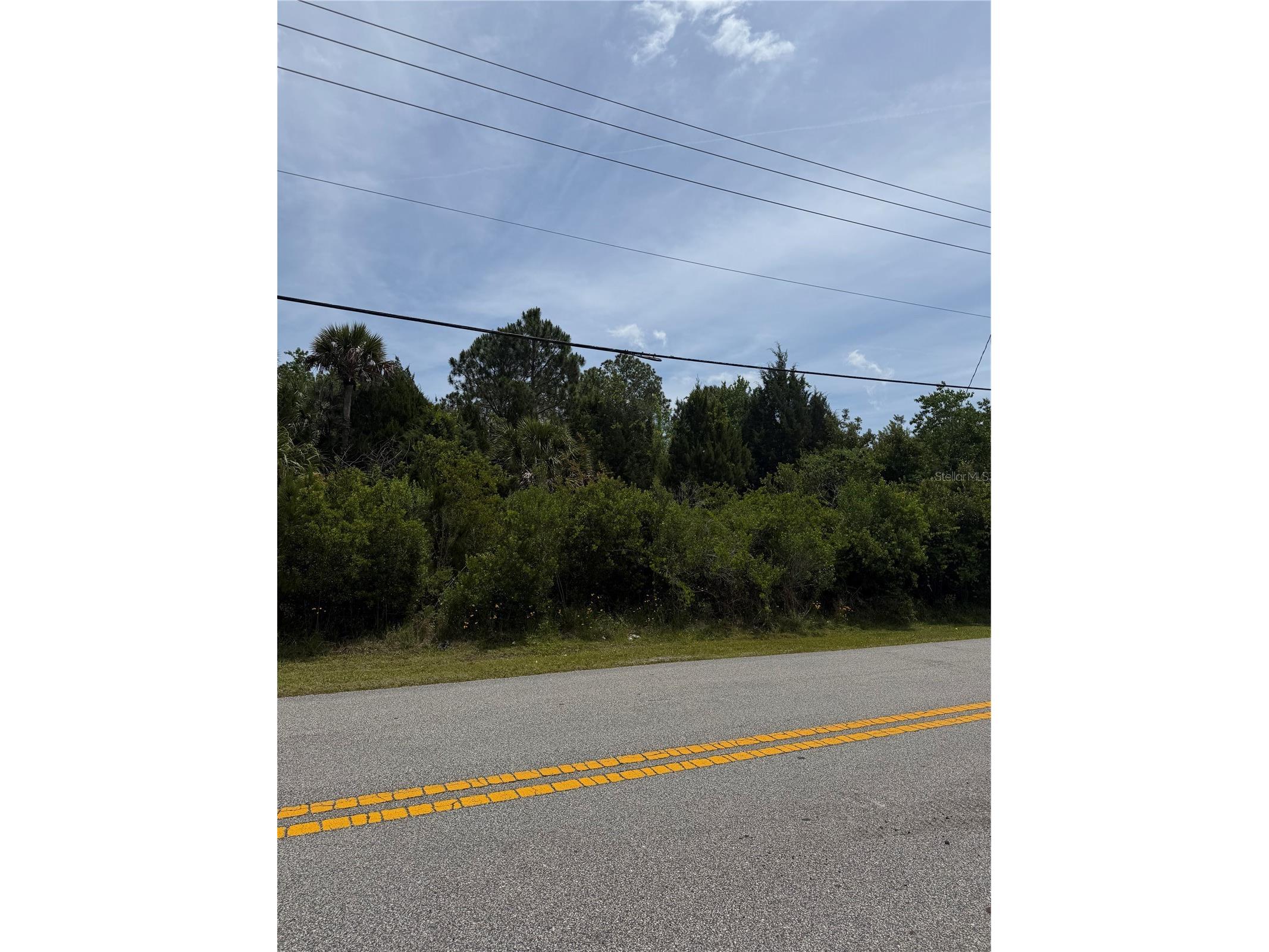 176 Bird Of Paradise Drive Palm Coast FL 32137 FC318368 image2