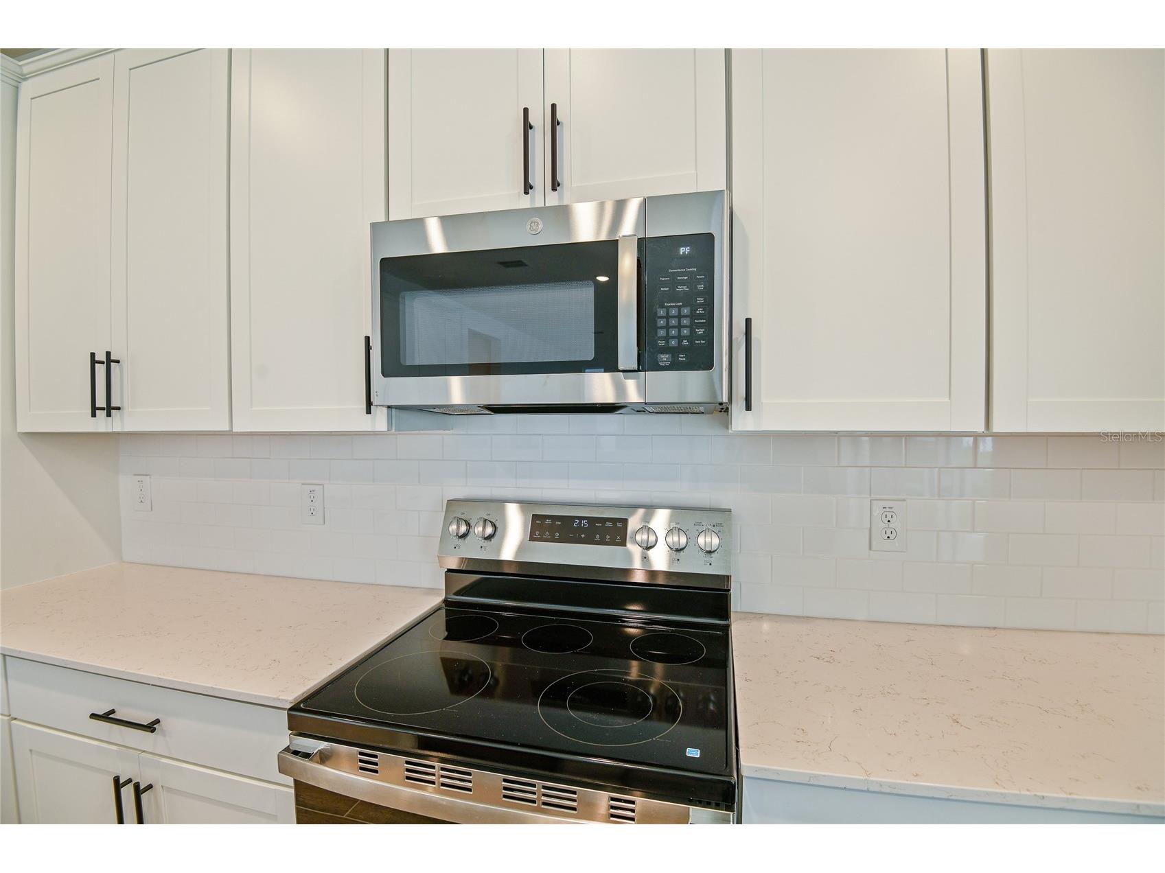 176 Blue Star Court Tavares FL 32778 S5137066 image9