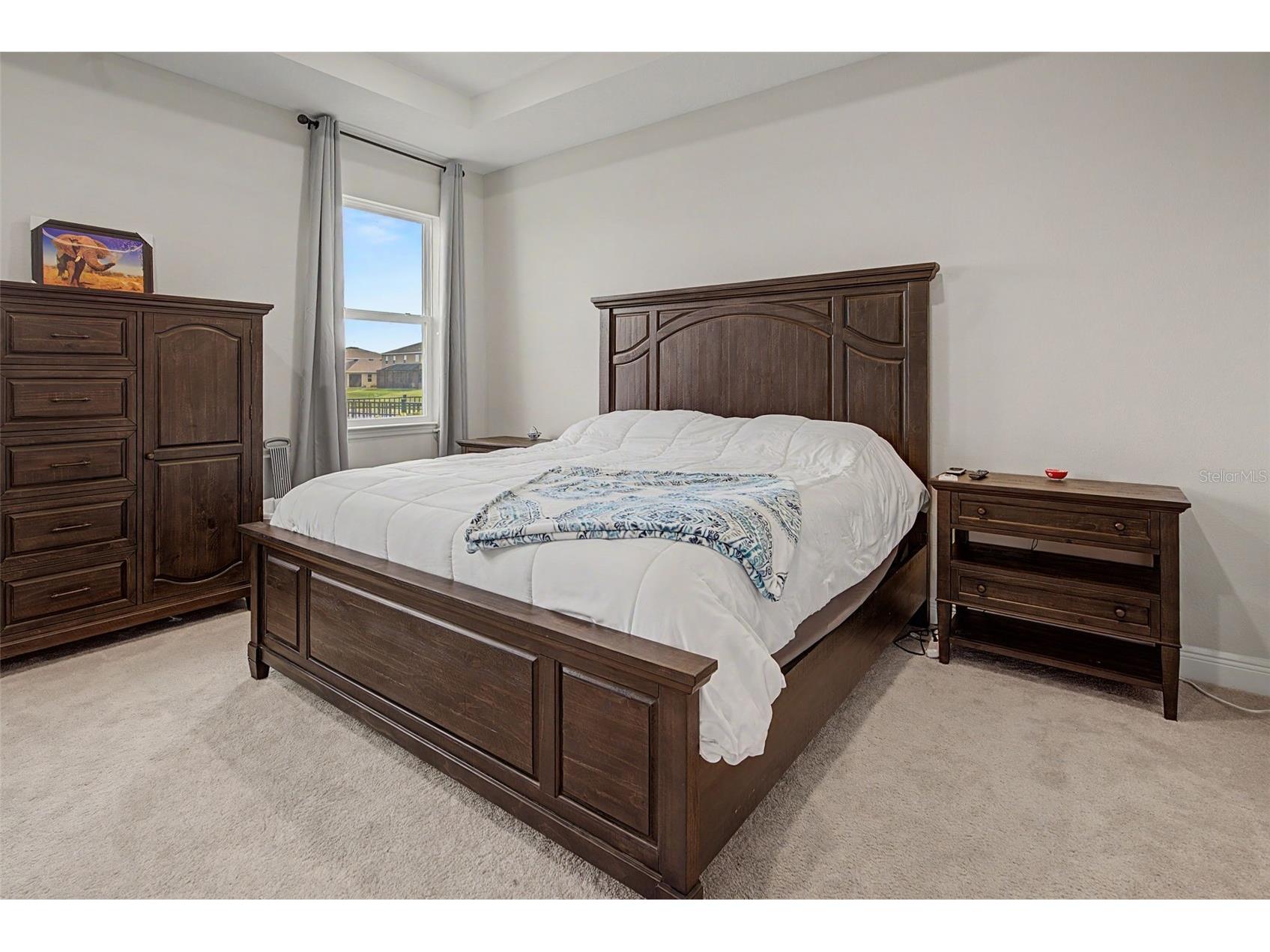 176 Bright Ibis Avenue Apollo Beach FL 33572 TB8498832 image19
