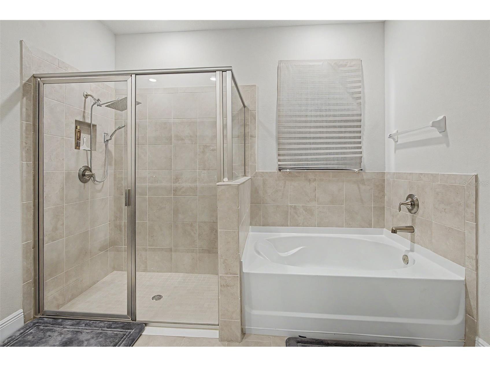 176 Bright Ibis Avenue Apollo Beach FL 33572 TB8498832 image22