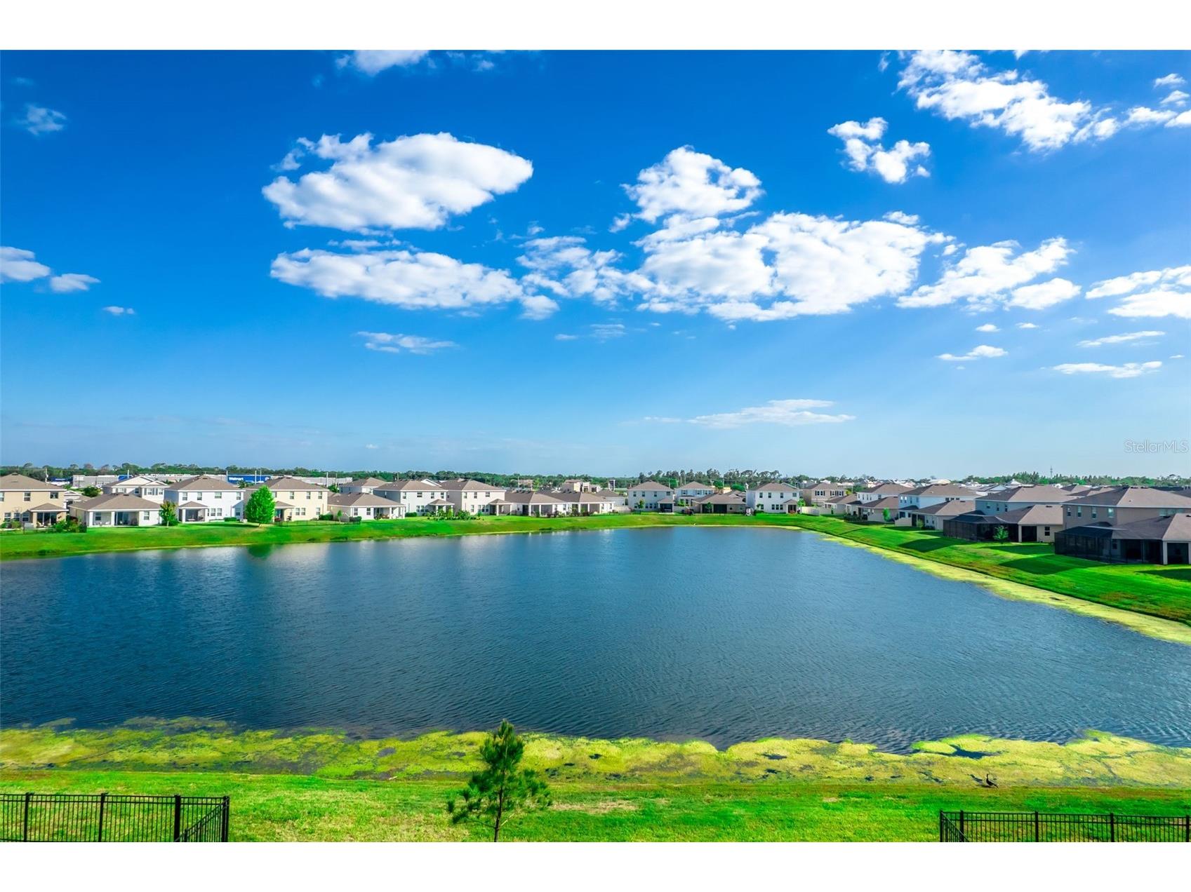 176 Bright Ibis Avenue Apollo Beach FL 33572 TB8498832 image3