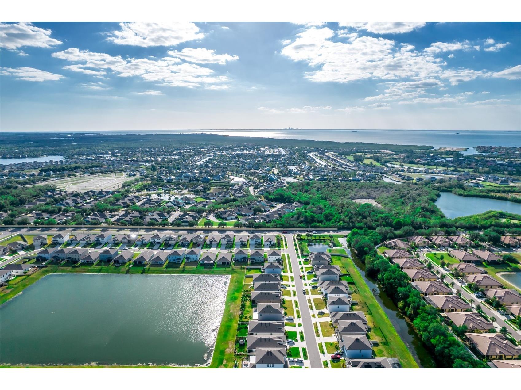 176 Bright Ibis Avenue Apollo Beach FL 33572 TB8498832 image36