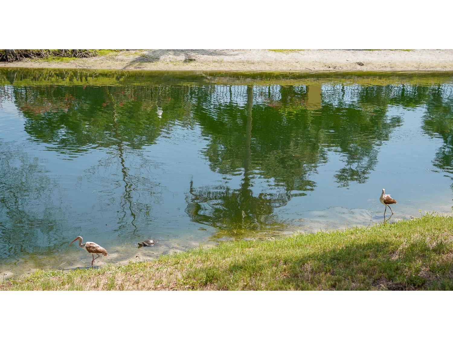 176 Coquina Bay Dr Drive Saint Petersburg FL 33705 TB8500590 image67