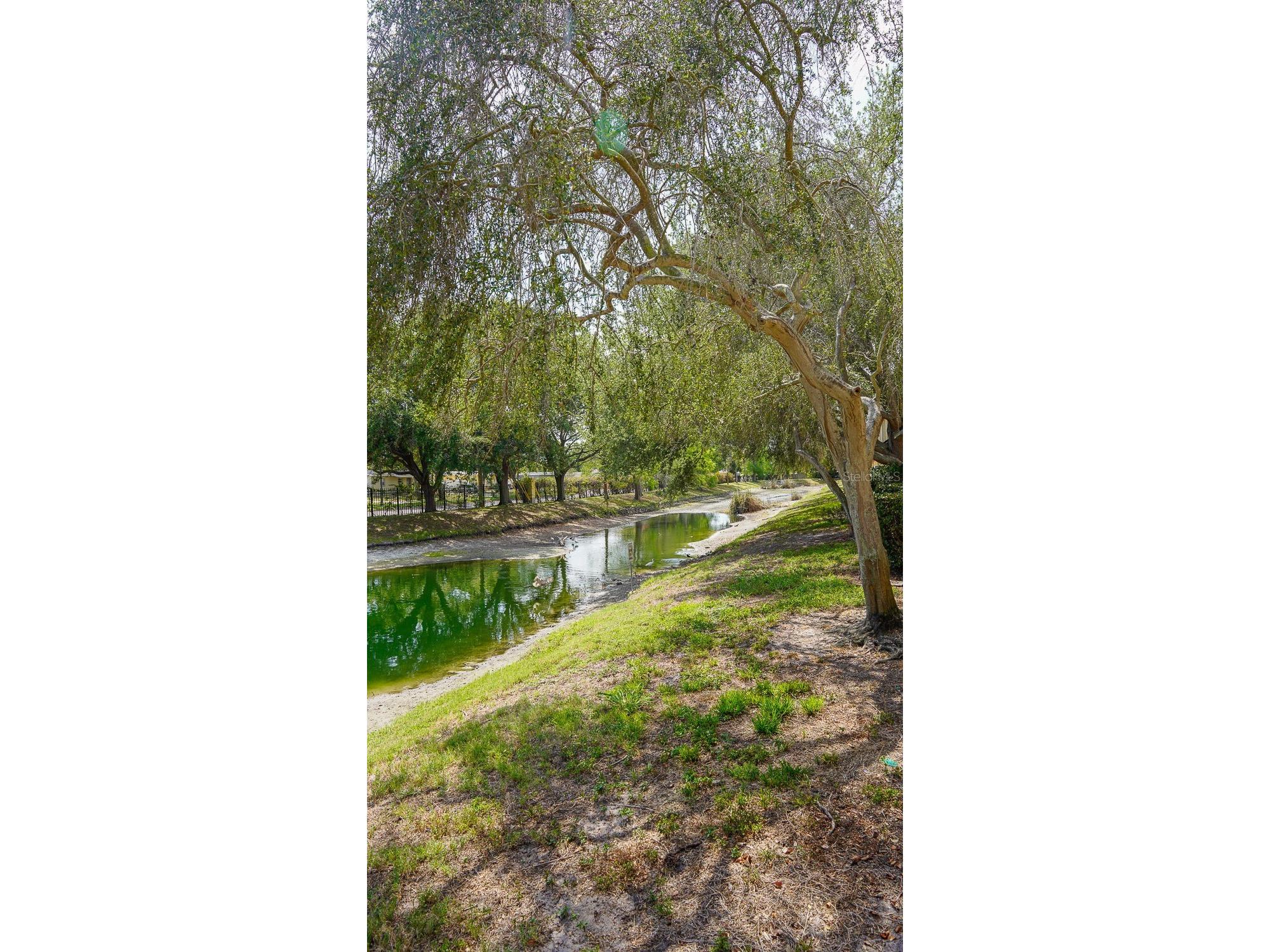 176 Coquina Bay Dr Drive Saint Petersburg FL 33705 TB8500590 image69