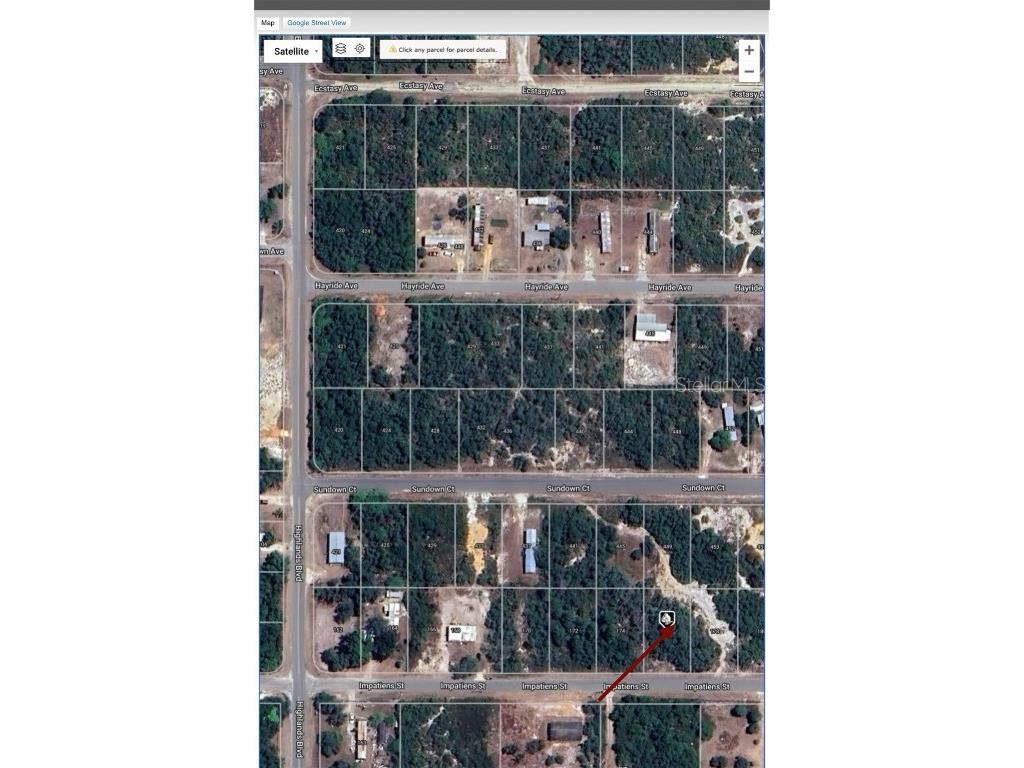 176 Impatiens Street Lake Placid FL 33852 O6221400 image4