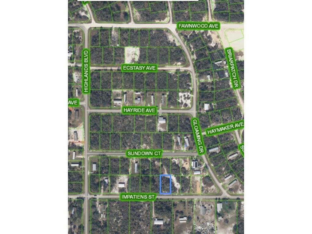 176 Impatiens Street Lake Placid FL 33852 O6221400 image5