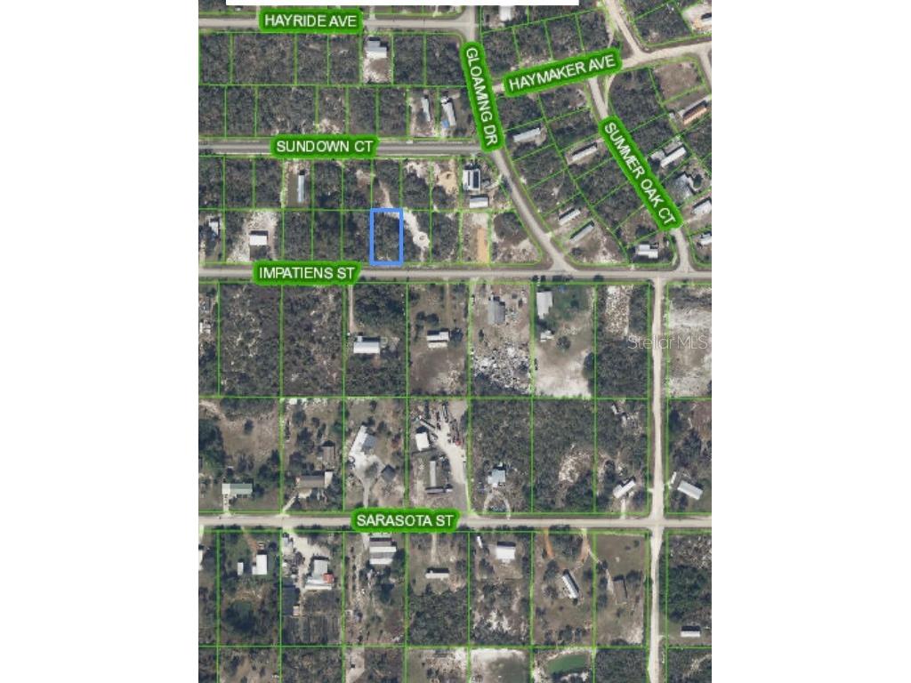 176 Impatiens Street Lake Placid FL 33852 O6221400 image6