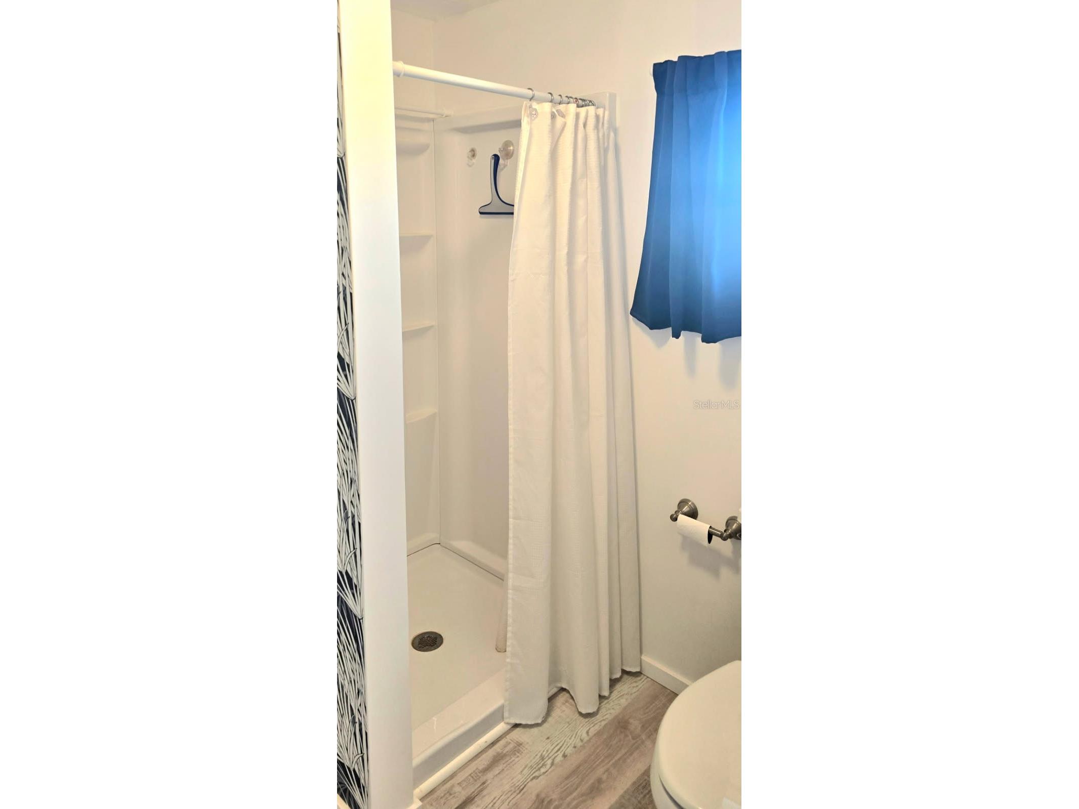 176 Independence Avenue #6 Palm Harbor FL 34684 TB8487952 image16