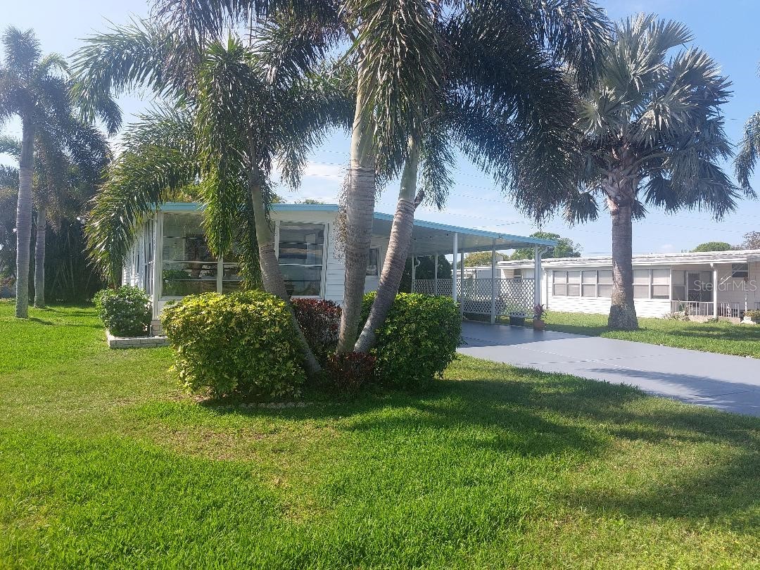 176 Independence Avenue #6 Palm Harbor FL 34684 TB8487952 image2