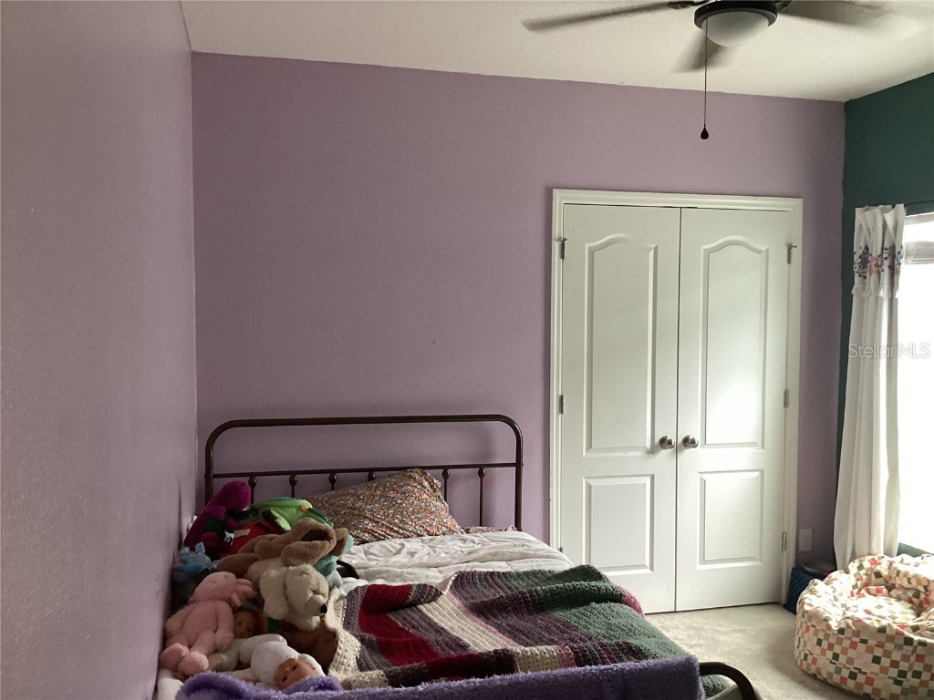 176 Jensen Drive Groveland FL 34736 - Lake Lucy O6307220 image11