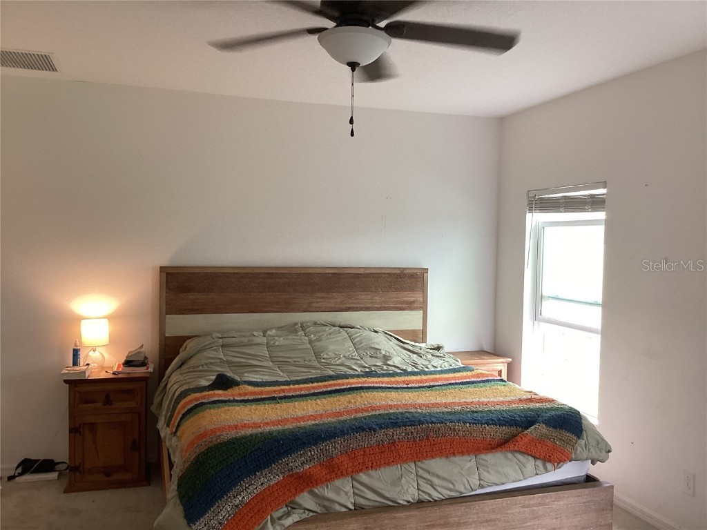 176 Jensen Drive Groveland FL 34736 - Lake Lucy O6307220 image6