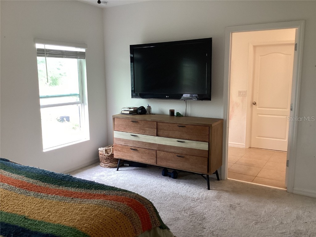 176 Jensen Drive Groveland FL 34736 - Lake Lucy O6307220 image9