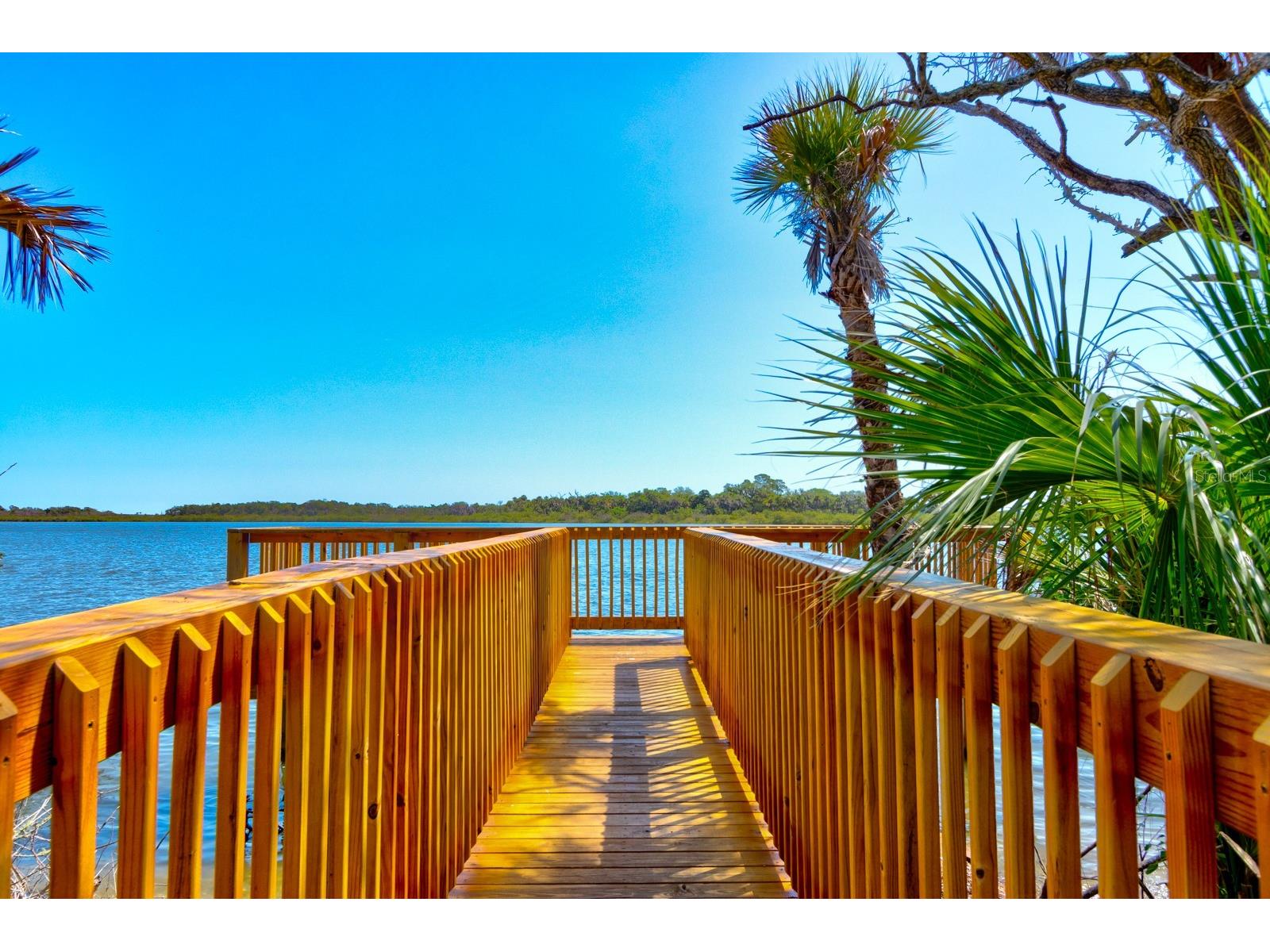 176 Jones Fish Camp Road Edgewater FL 32141 - INDIAN RIVER LAGOON NS1088249 image31