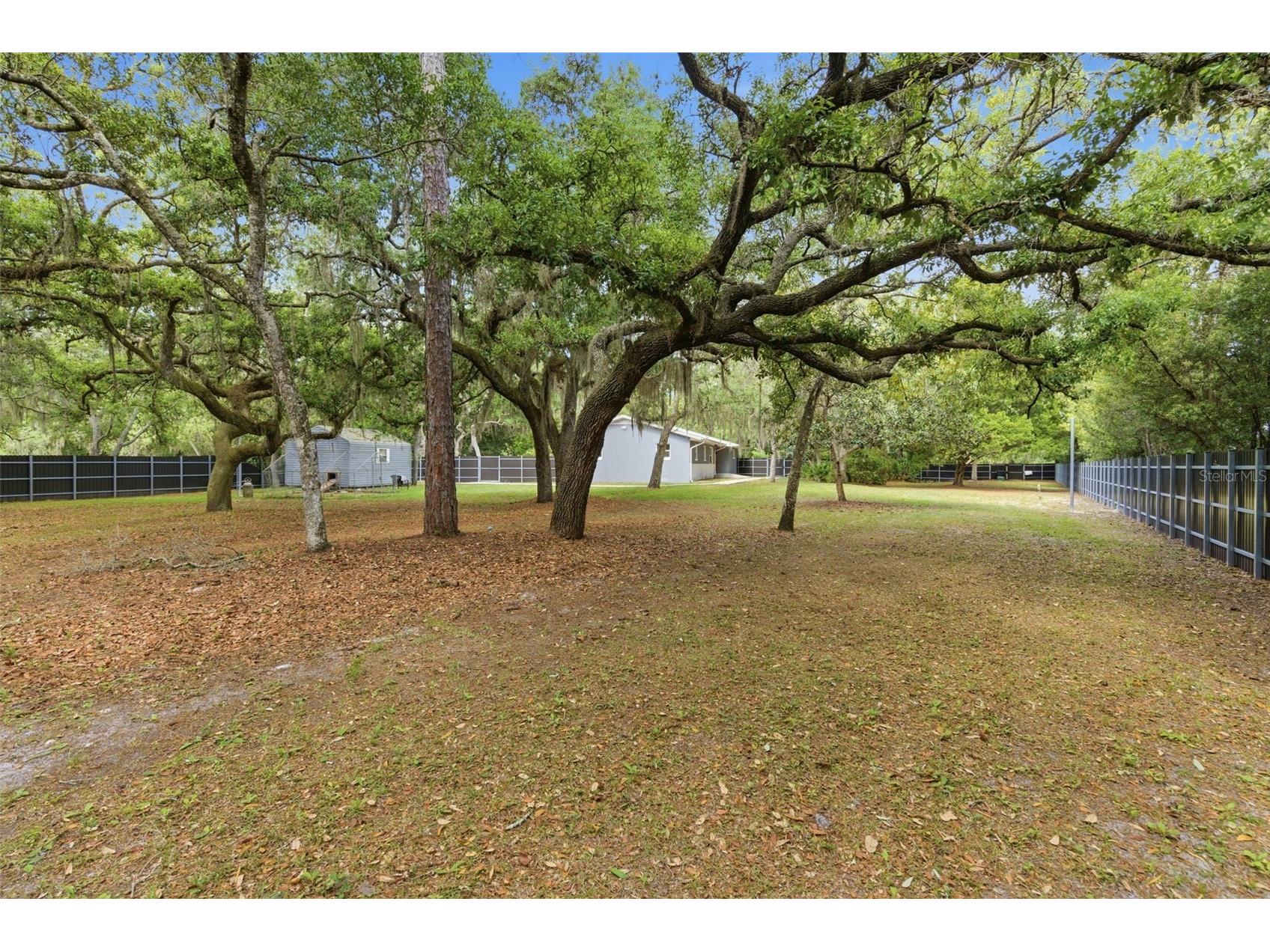 176 Lake Eva Drive Chuluota FL 32766 O6402768 image17