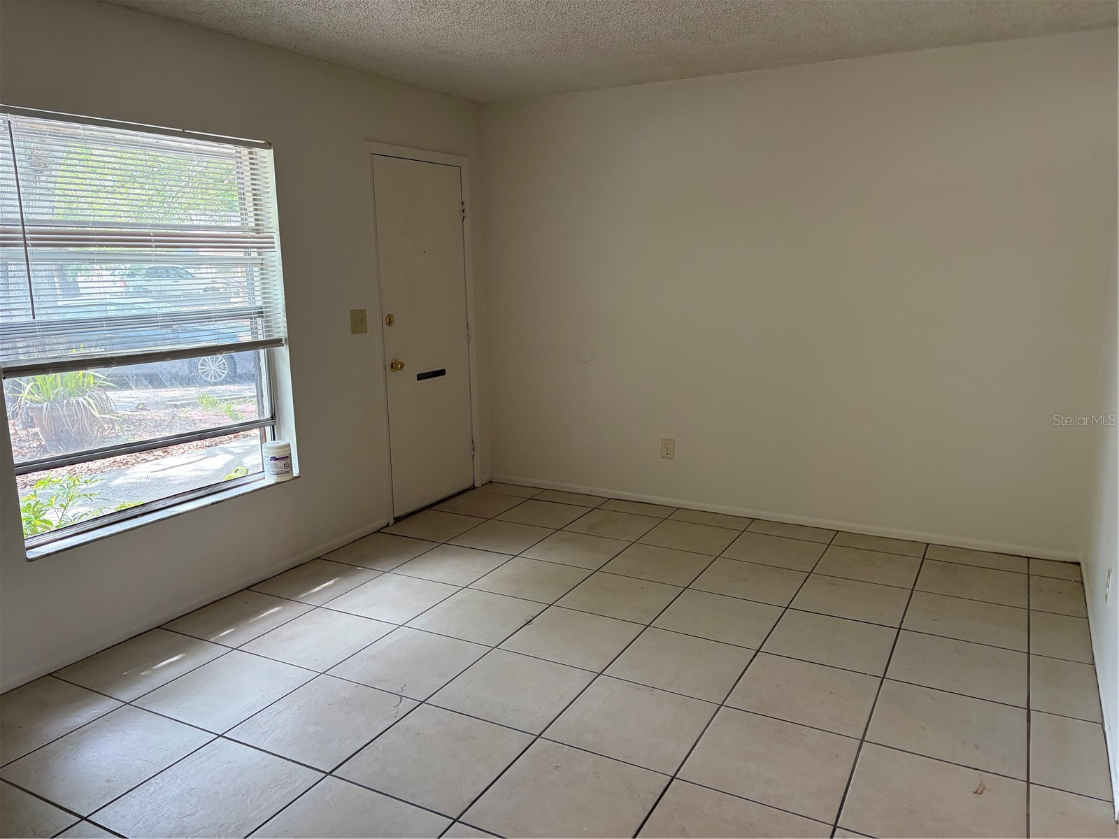 176 Margie Street Palm Harbor FL 34683 TB8525809 image2