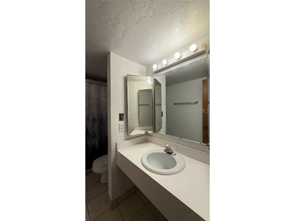 176 Palm View Court #3475/6 Haines City FL 33844 O6274667 image14