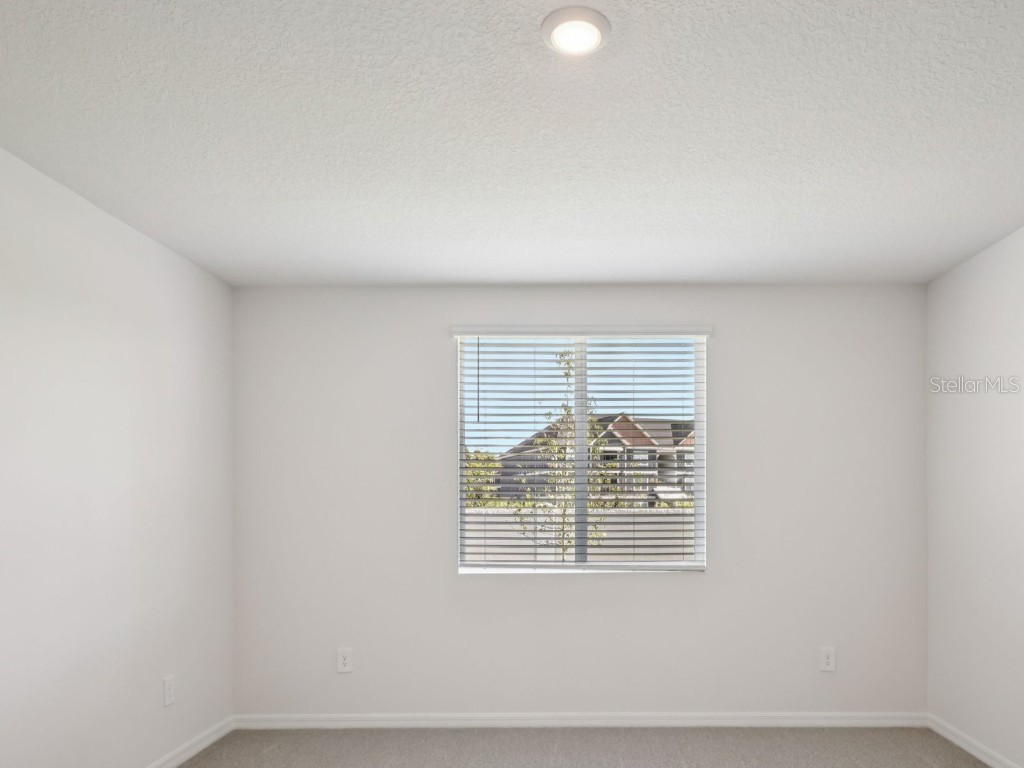 1760 Coolridge Place Zephyrhills FL 33541 O6358490 image18