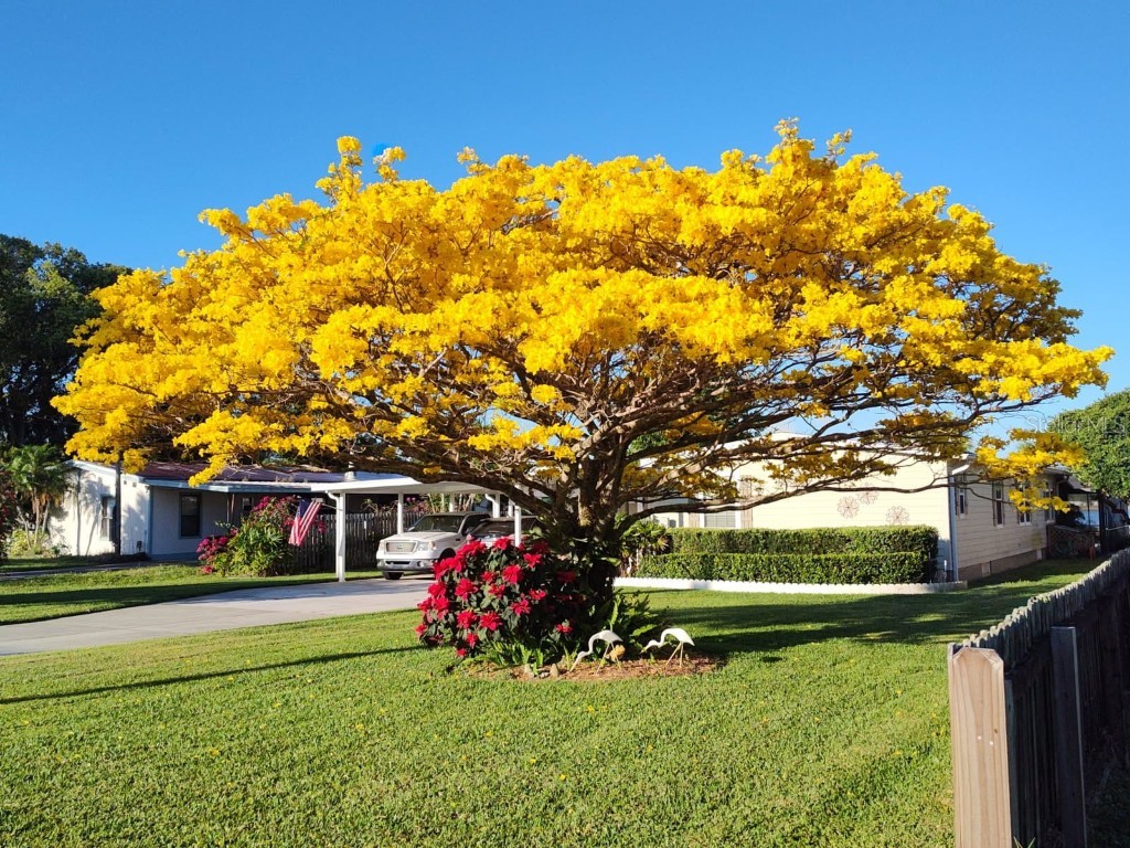 1760 Cunningham Drive Saint Cloud FL 34771 - LAKE LIZZIE O6315323 image1